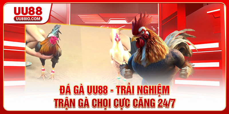 Đá gà UU88