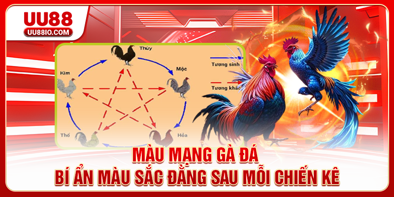 Màu Mạng Gà Đá - Bí Ẩn Màu Sắc