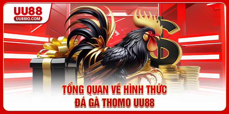 Tổng quan về hình thức đá gà Thomo UU88